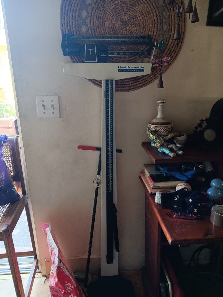 Health O Meter Professional