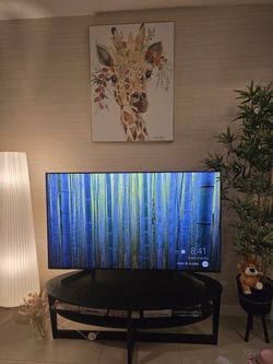 Sony Tv 55 inch