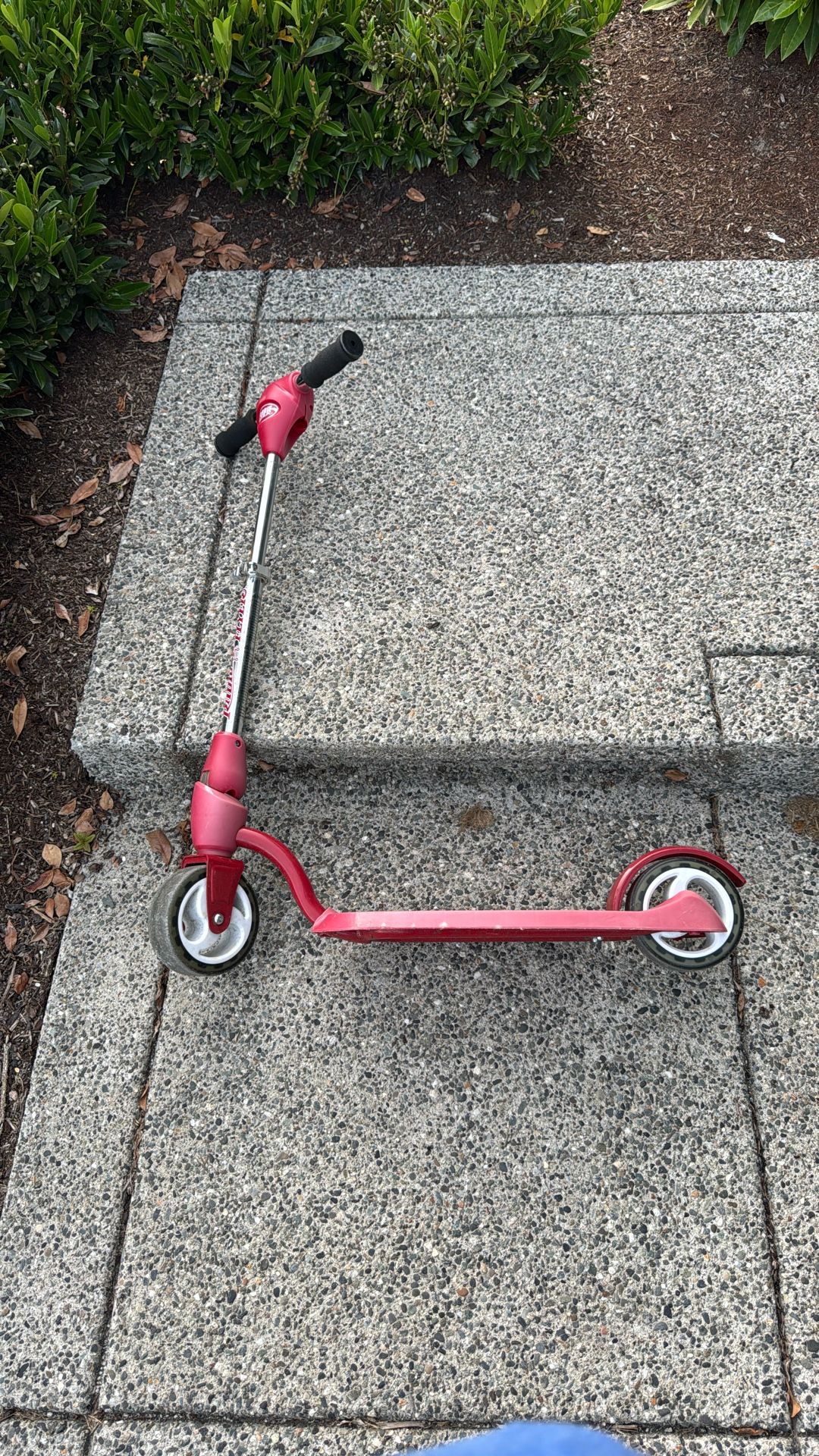 Radio Flyer Scooter