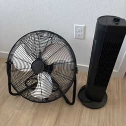 Fans
