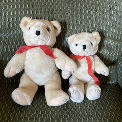 Two Teddy Bears