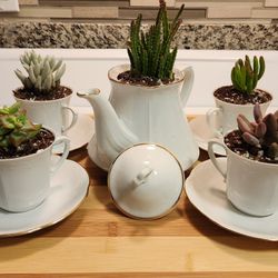 Vintage Teapot & Teacup Succulent Set 