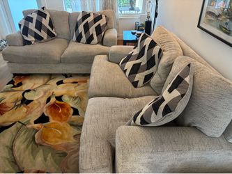 2 comfy couches
