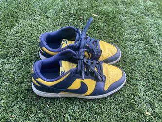 Michigan Dunks Size 7.5