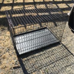 Medium Dog Kennel