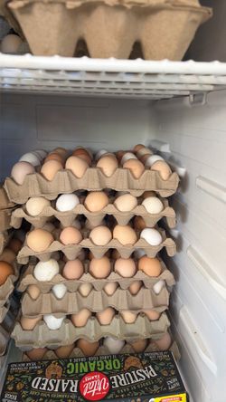 Chicken eggs