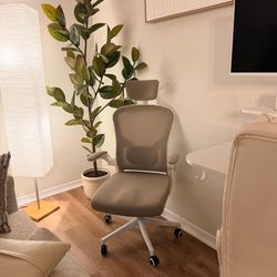 Ergonomic Chair