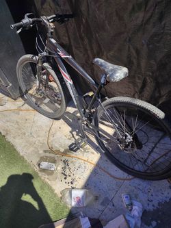 29 In Mountain Bike