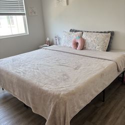 Bed Frame & Mattress
