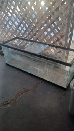 Fish tank