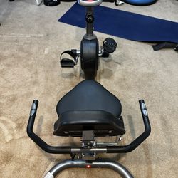Sunny Health & Fitness Sit Bike