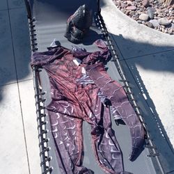 Youth Godzilla Costume