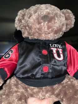 Valentine’s Day Teddy Bear