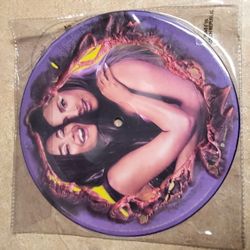 Lady Gaga Ariana Grande Rain On Me Picture Disc Vinyl Record