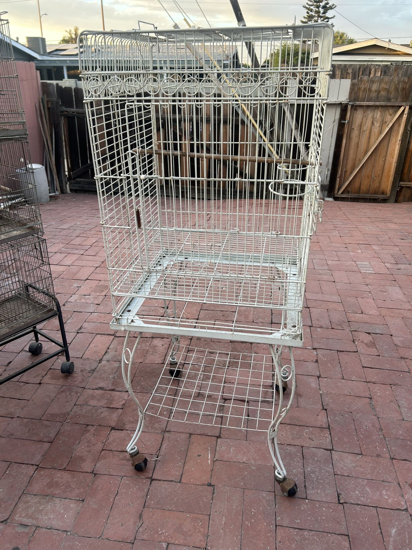 Bird Cage