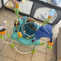 Baby Bouncer 