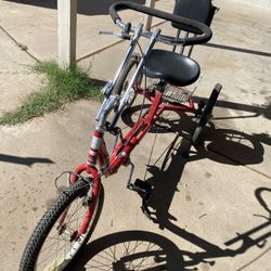 AmTryke Adult Tricycle 50-FC-1420-XL