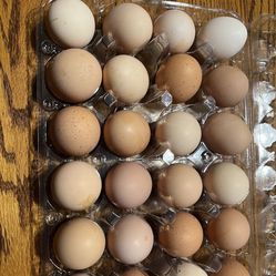 Cage Free Eggs