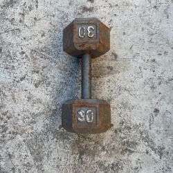 30lb Dumbbell 