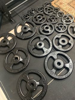 255 Lbs York Olympic weights plates
