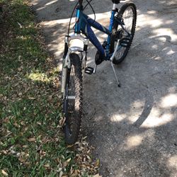 Ladies Schwinn Bike