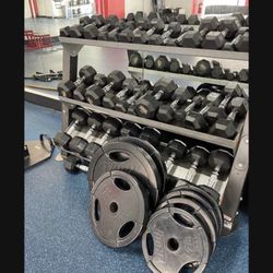Weights, Dumbbells, Bumper Plates, Benches And Racks