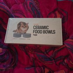 Furnish Ceramic Cat Food Bowls