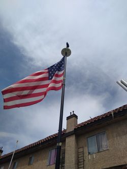 Flag Poles