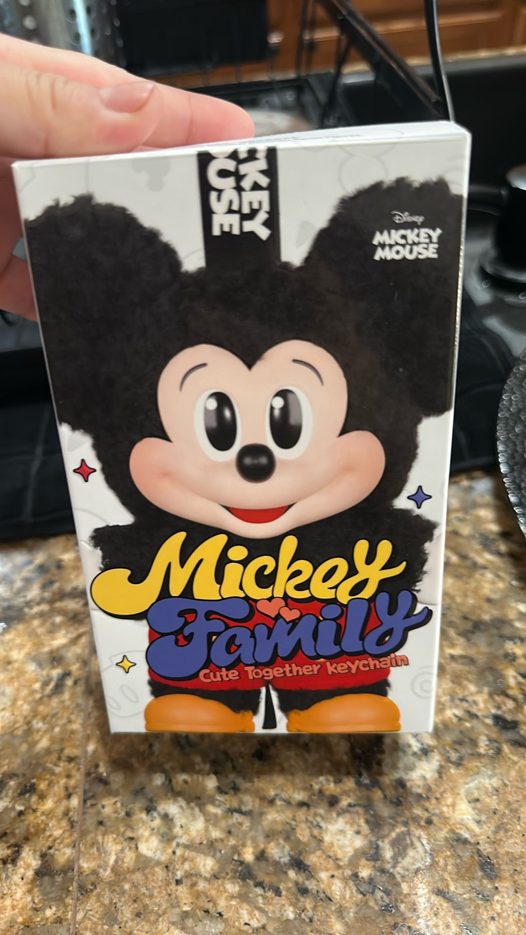 Mickey Family