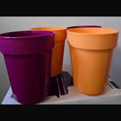 Set de vasos / cups (4)
