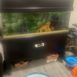100 Gallon Fish Tank
