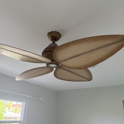 3 Leaf Fans 
