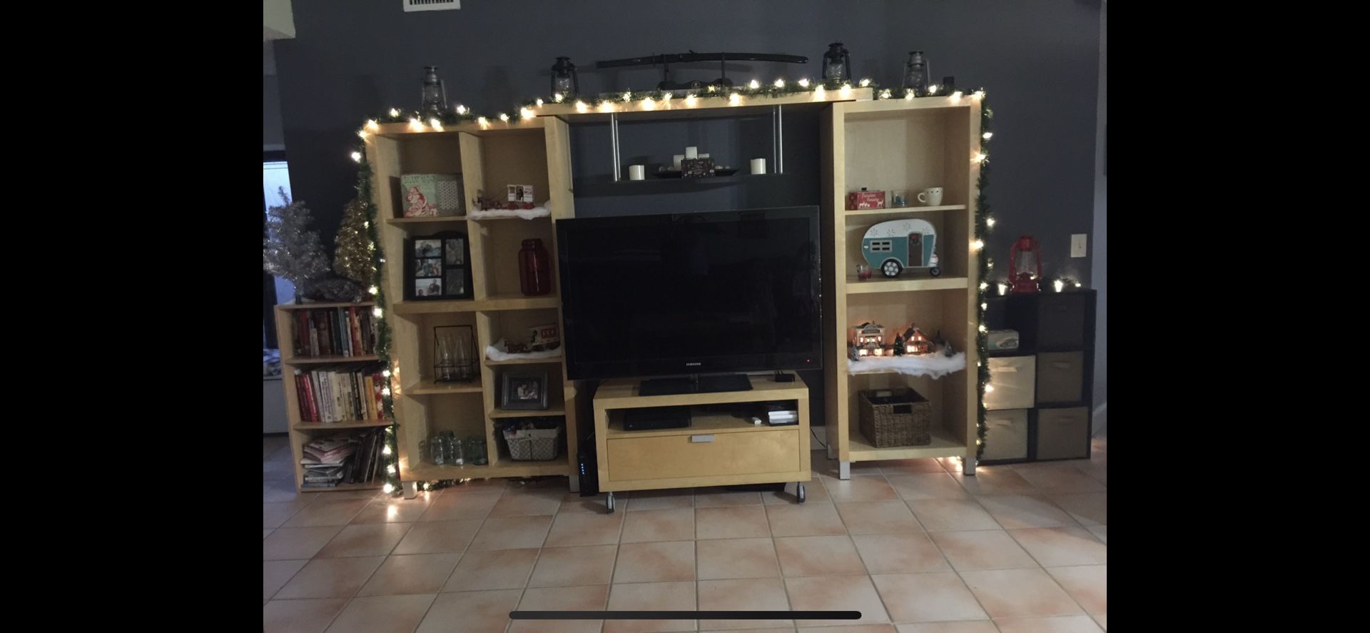 entertainment center or just bookshelves