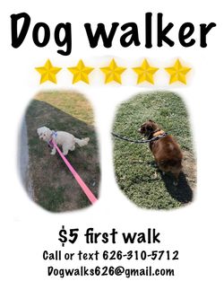 Dog leash for sale as seen
