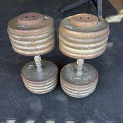 ProStyle 100 Lb Dumbbells