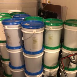 5 Gallons Buckets Great Price Gain Or Tide 