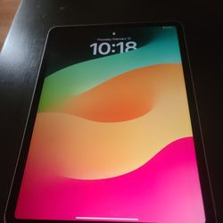 IPad Pro 128 GB (4th Generation)