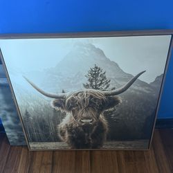 Highland cow decor