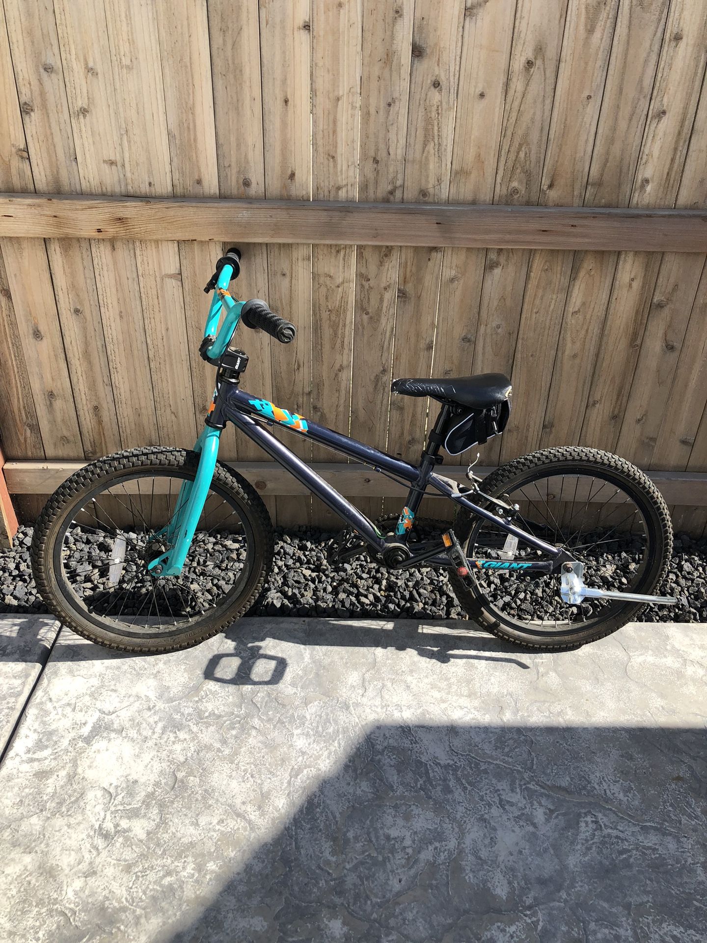 Giant Bike 20in