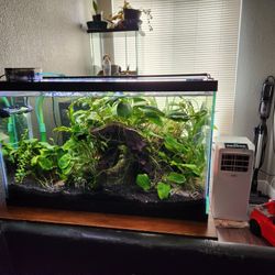 29 Gal Aquarium 