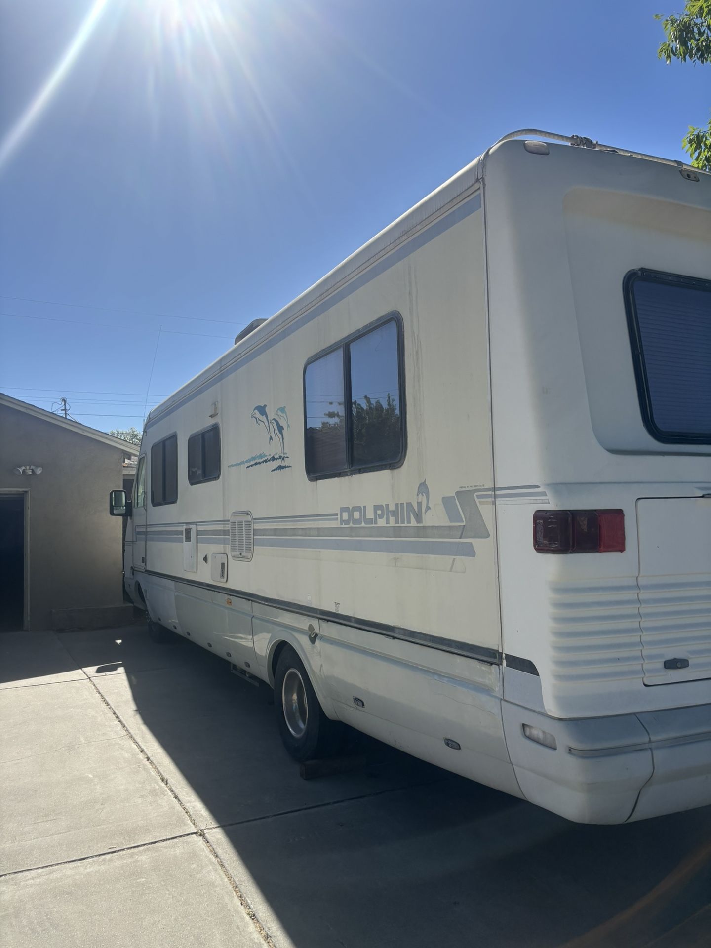 Dolphin motorhome