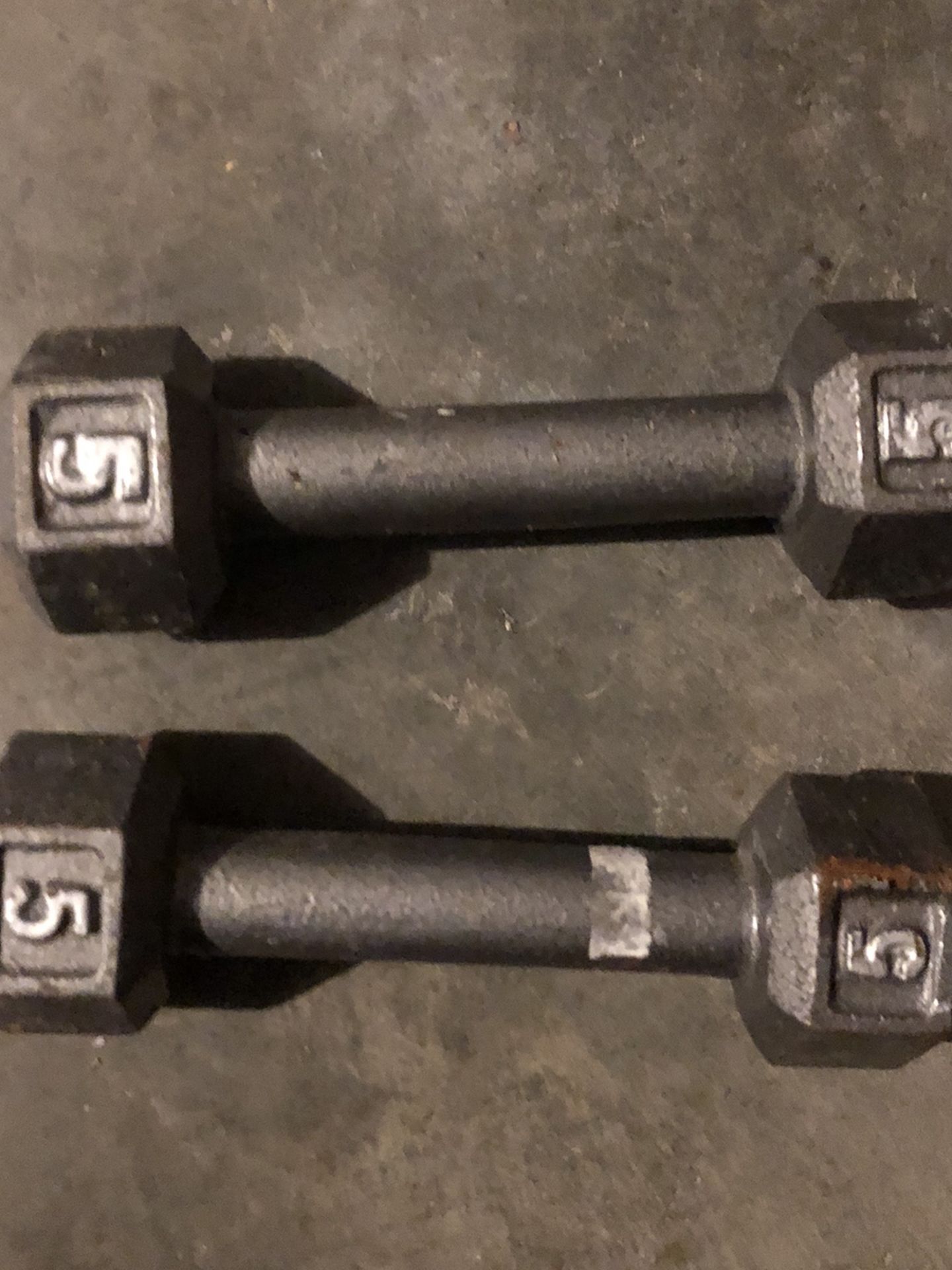 5 Lb Dumbbell Pair