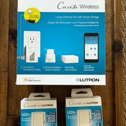 Caseta Wireless Kit