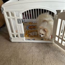 Small pet pen