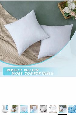24”x24” White Throw Pillow Inserts Set of 2