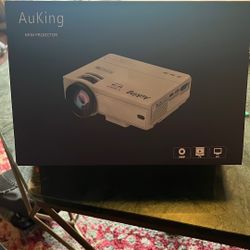 Mini projector