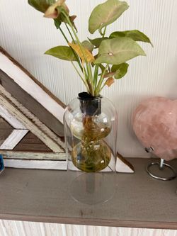 Plants!