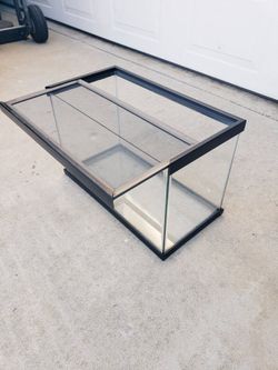 Reptile Aquarium Tank