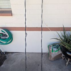 Lunge Whip two for one deal!