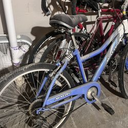 Bicycles 3! 1 Avalon 2 Ligero 